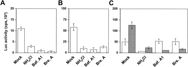 FIG. 8.