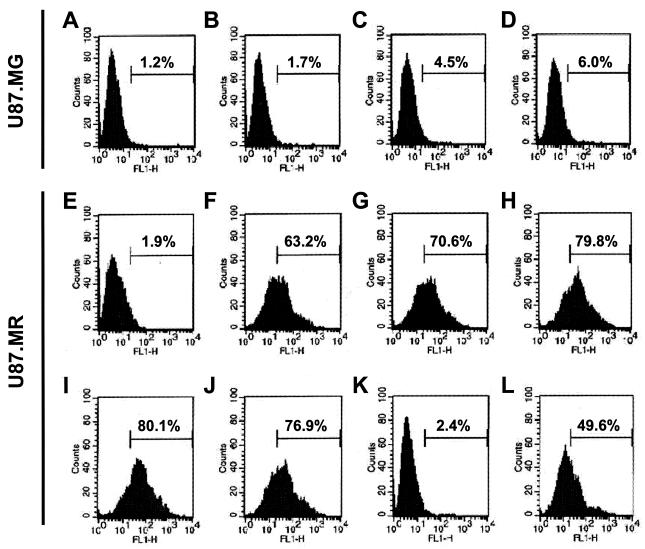 FIG. 4.