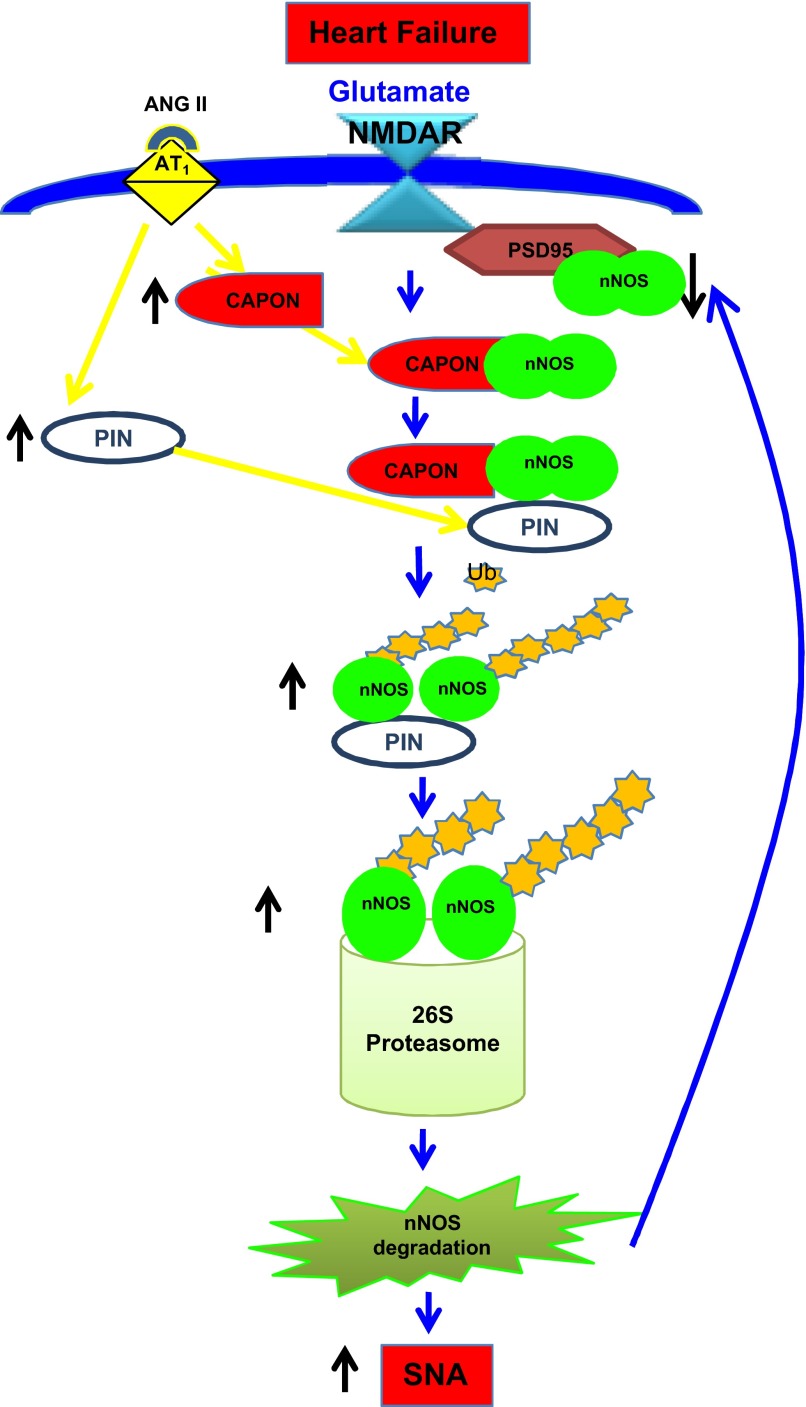 Fig. 7.