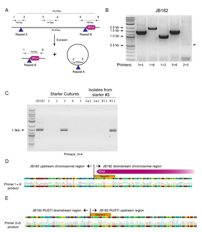 Figure 5.