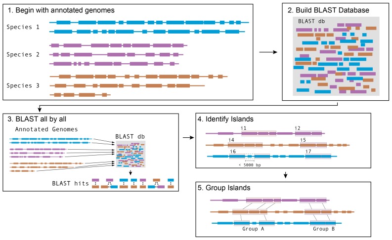 Figure 1—figure supplement 1.