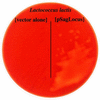 FIG. 7