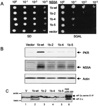 FIG. 5