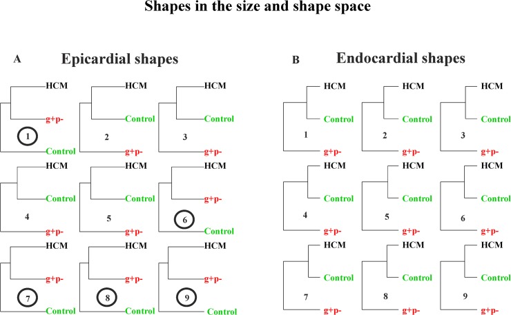 Fig 11