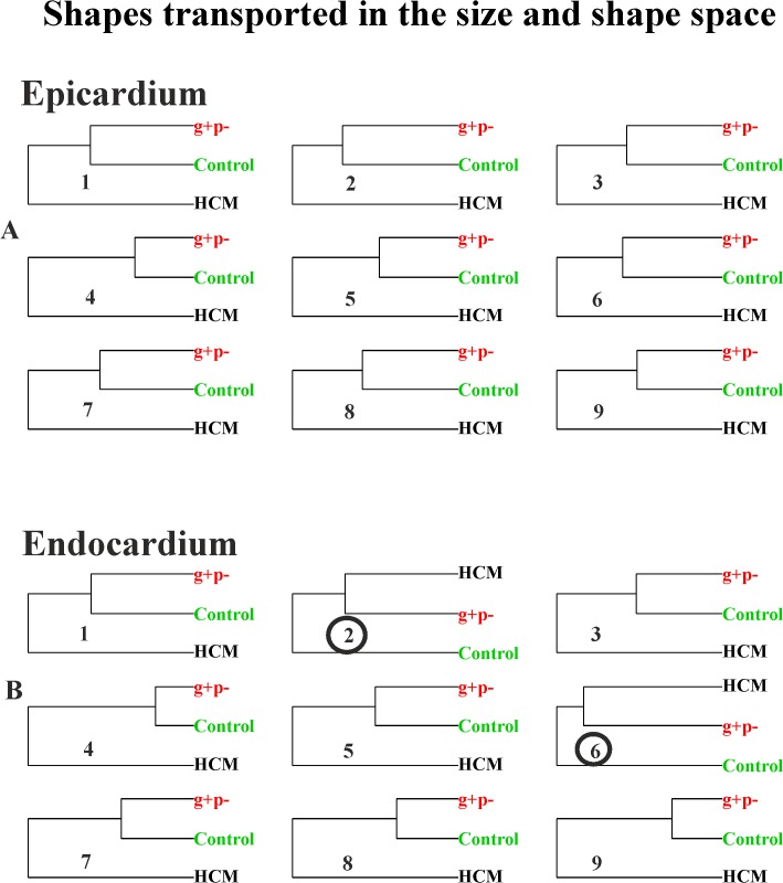 Fig 12