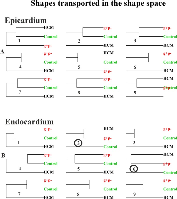 Fig 13