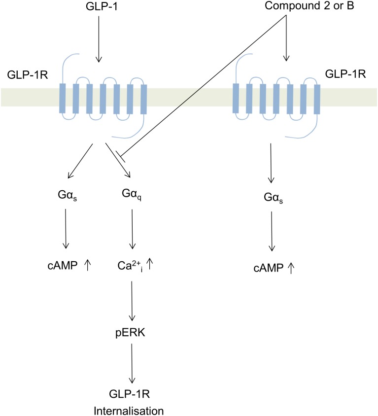 Fig 10