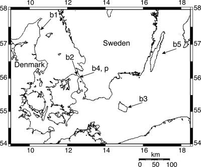 FIG. 1.