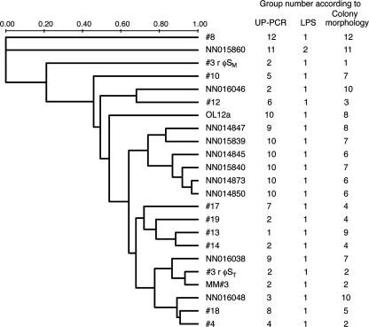 FIG. 7.