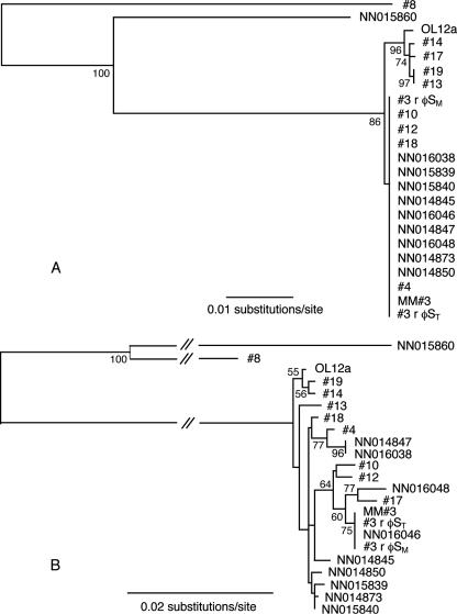 FIG. 2.