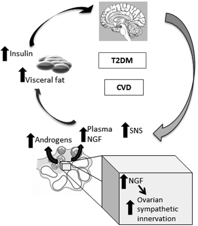 Figure 7.