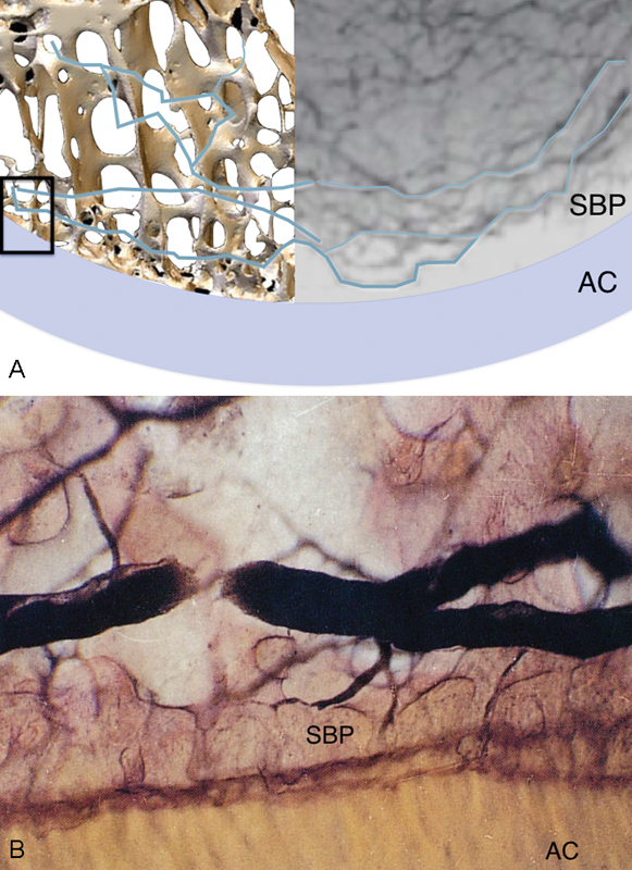 Fig. 9