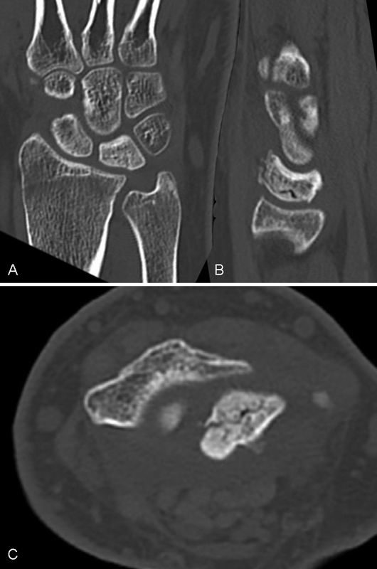 Fig. 5