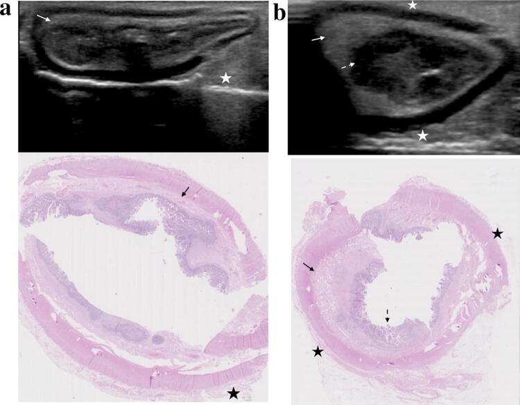 Fig. 5