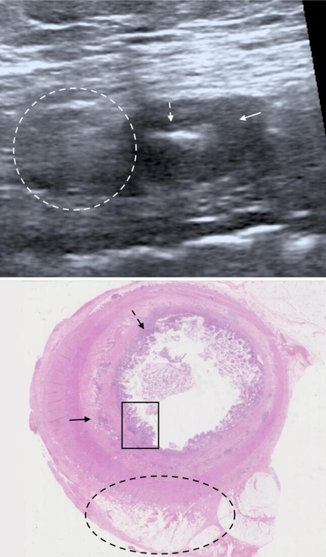 Fig. 4