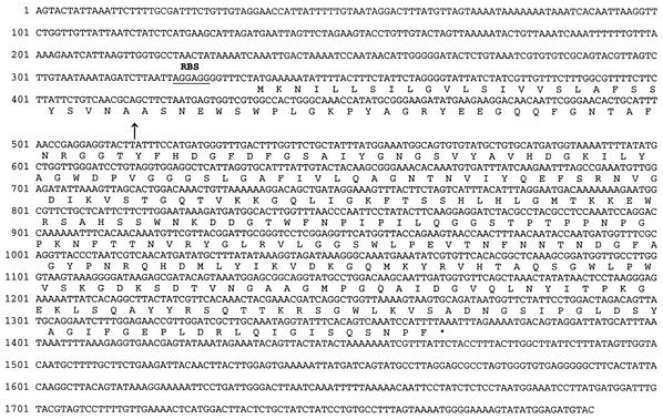 FIG. 4.