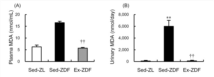 Fig 5