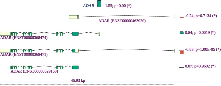 Fig. 9