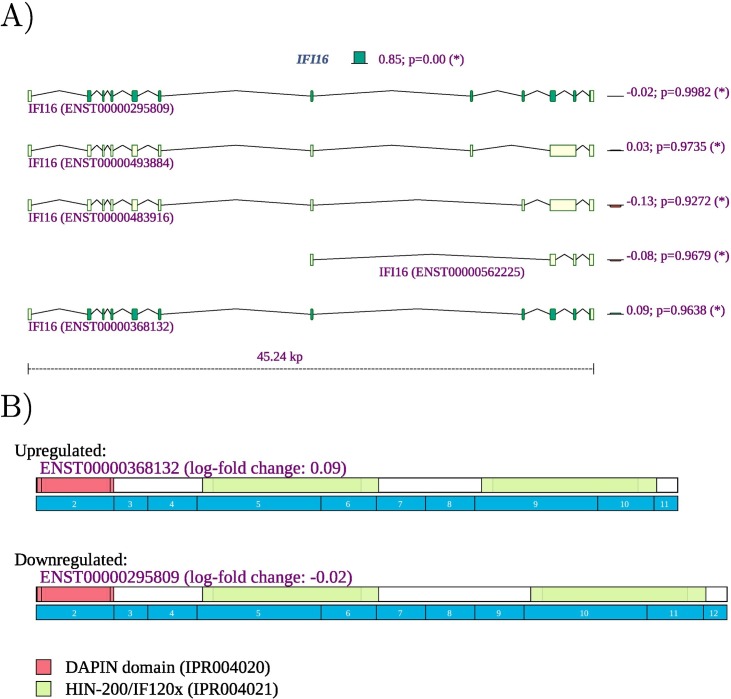 Fig. 10