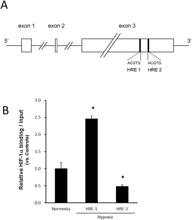 Fig 8