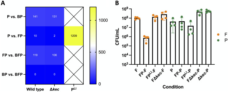 FIG 7