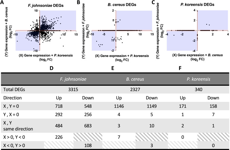 FIG 2