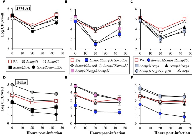 FIGURE 6