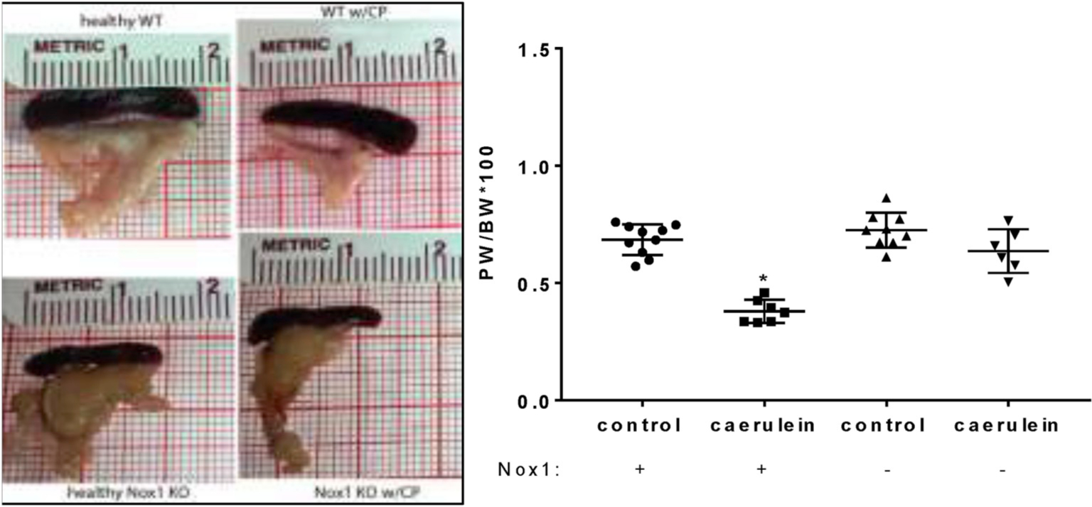 Fig. 1A.