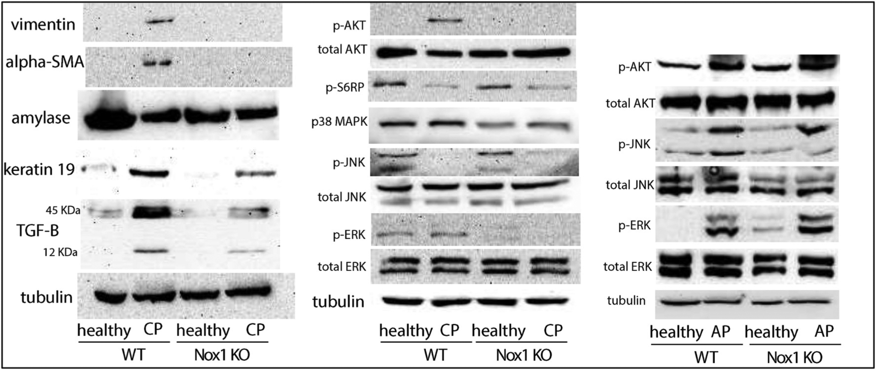 Fig. 4B.