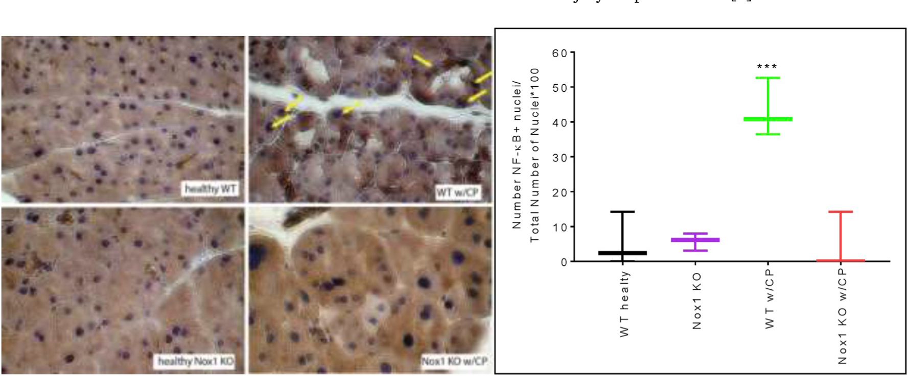 Fig. 3A.