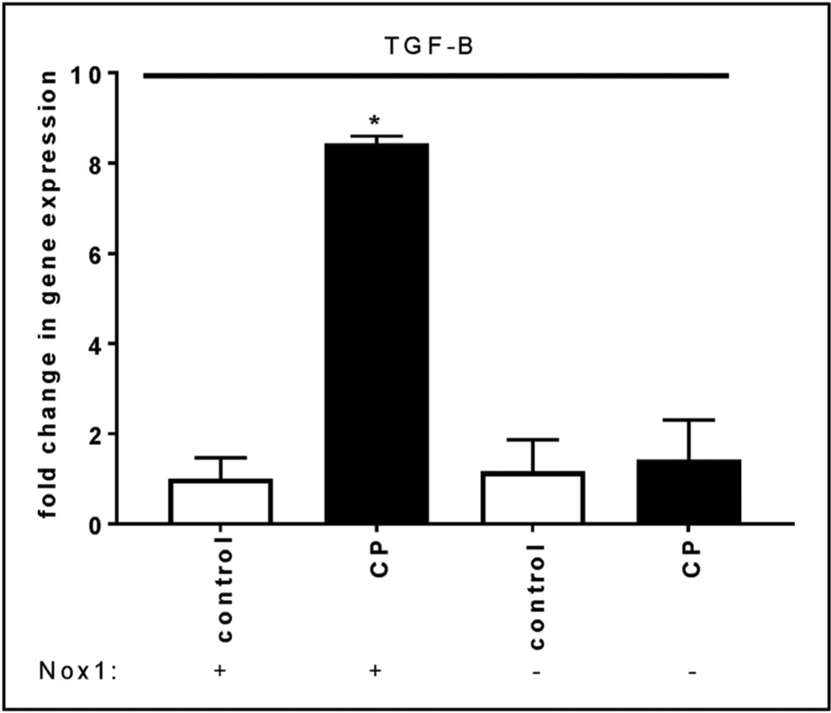 Fig. 4A.