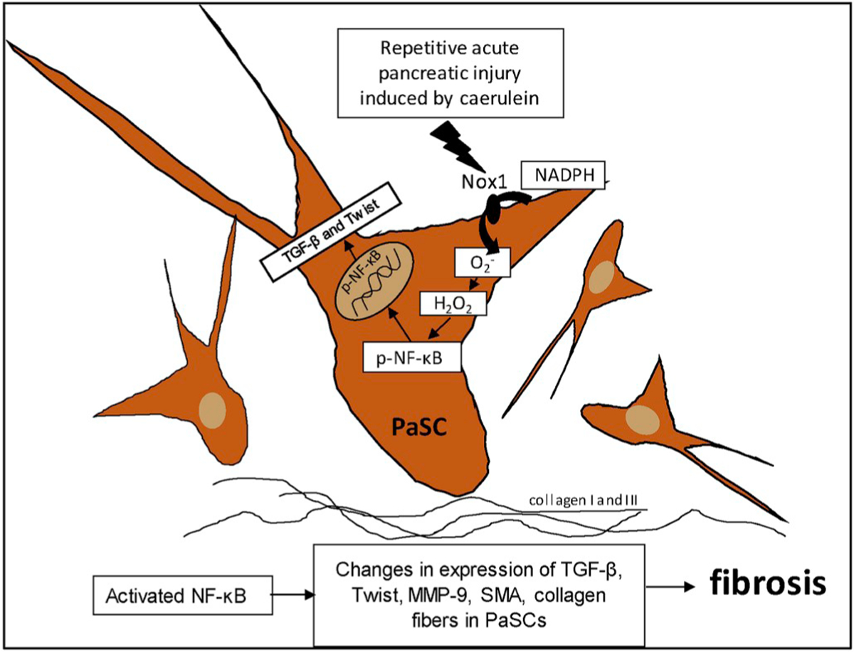 Fig. 6.