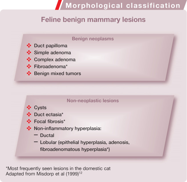 graphic file with name 10.1016_j.jfms.2010.01.004-fig7.jpg