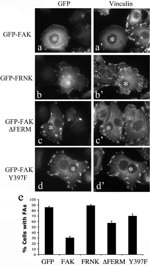 FIGURE 4: