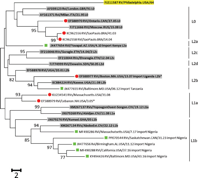 B. Genotype 1G