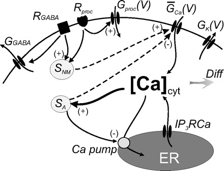 FIG. 1.