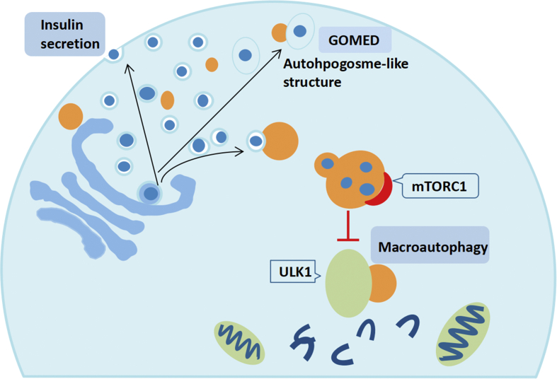 Figure 3