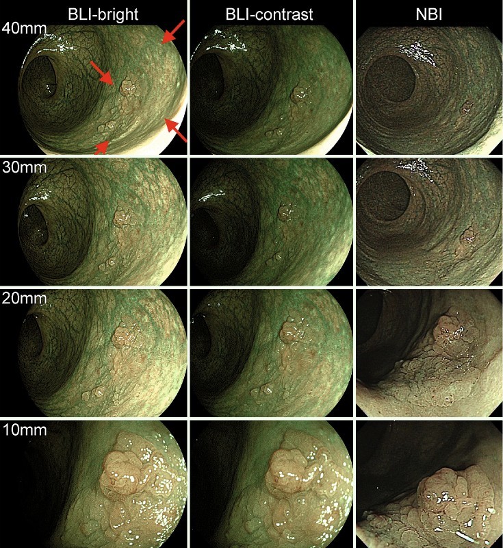 Fig. 2