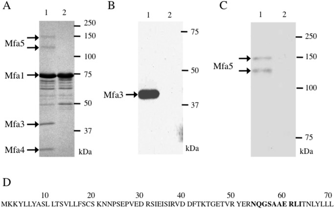 Fig 5