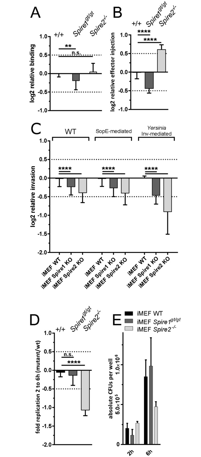 Fig 4