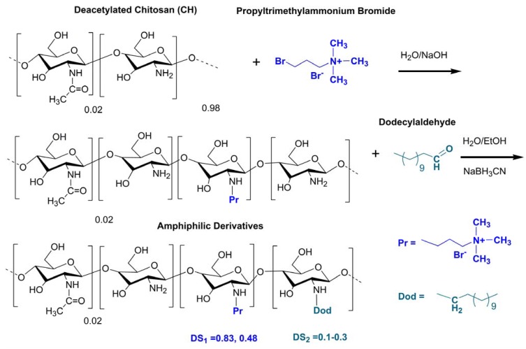 Scheme 1