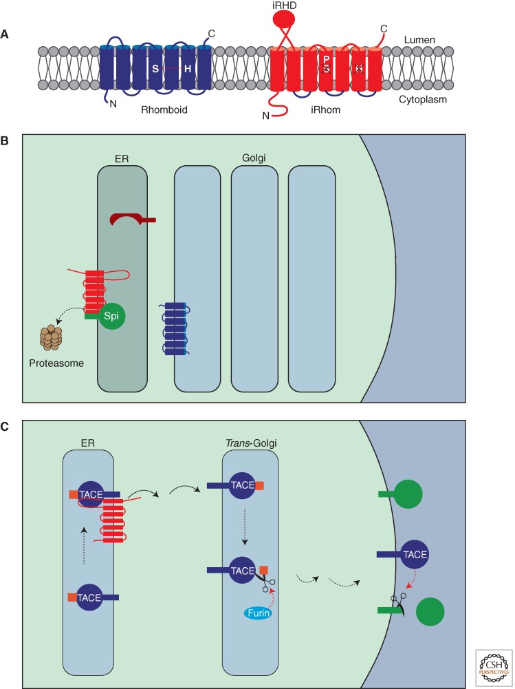 Figure 6.