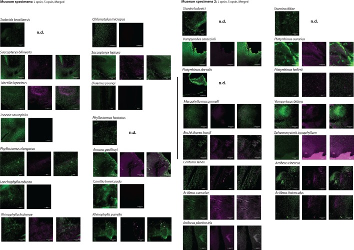 Figure 1—figure supplement 2.