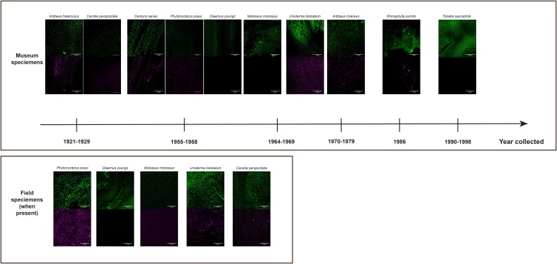 Figure 1—figure supplement 5.