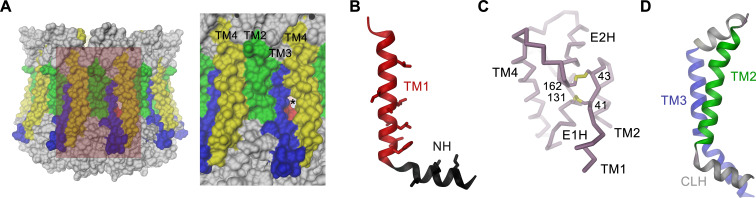 Figure 5—figure supplement 2.