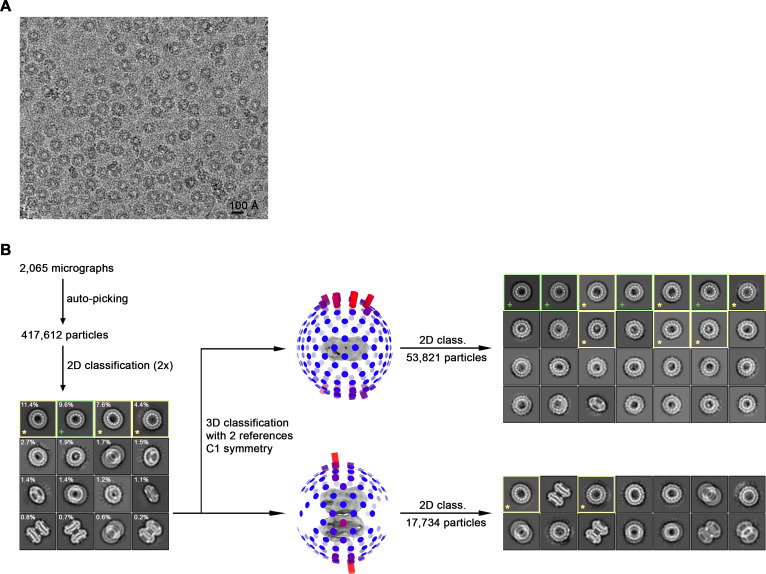 Figure 3—figure supplement 6.