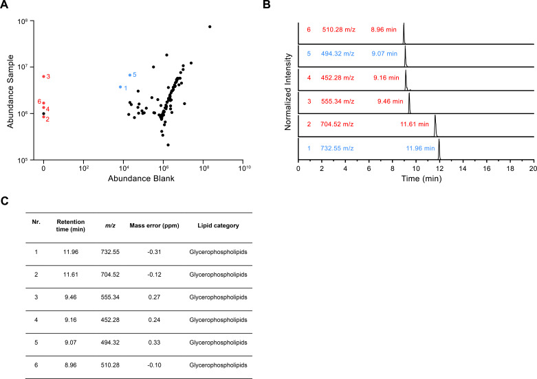 Figure 6—figure supplement 2.