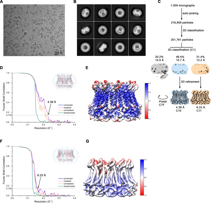 Figure 3—figure supplement 4.