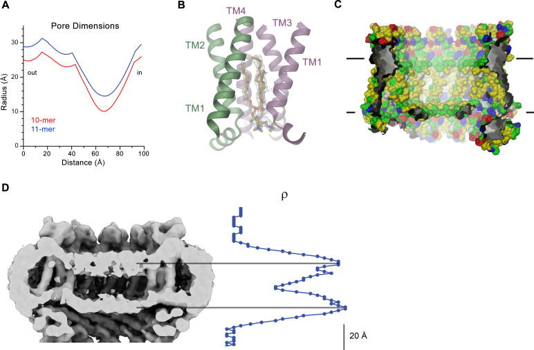 Figure 6.