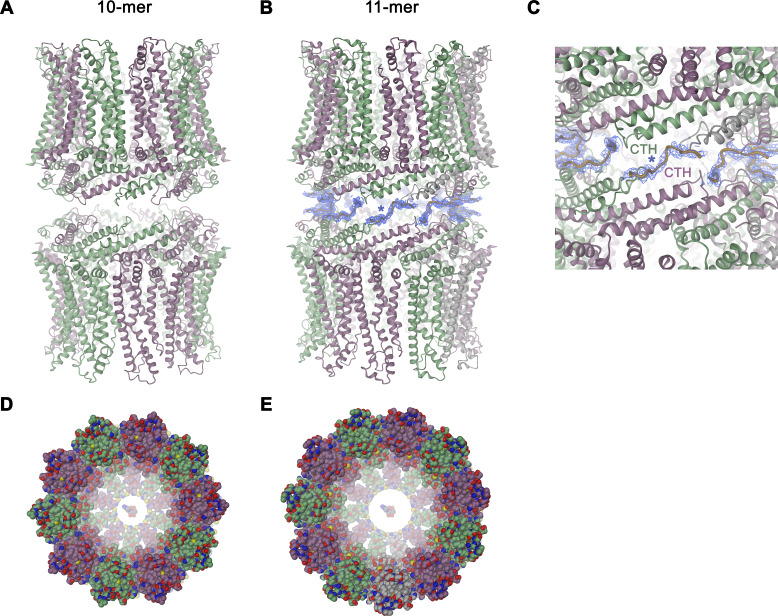 Figure 4—figure supplement 1.